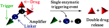 Graphical abstract: A self-immolative dendritic glucuronide prodrug of doxorubicin