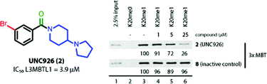 Graphical abstract: Structure–activity relationships of methyl-lysine reader antagonists