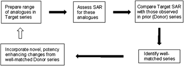 Graphical abstract: SAR mining and its application to the design of TRPA1 antagonists