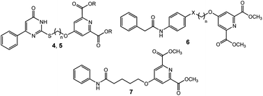 Graphical abstract: Developing novel non-hydroxamate histone deacetylase inhibitors: the chelidamic warhead