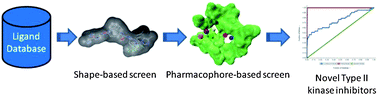 Graphical abstract: Targeting the inactive conformation of protein kinases: computational screening based on ligand conformation