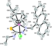 Graphical abstract: Synthesis and structure of [(η6-p-cymene)Ru(2-anthracen-9-ylmethylene-N-ethylhydrazinecarbothioamide)Cl]Cl; biological evaluation, topoisomerase II inhibition and reaction with DNA and human serum albumin