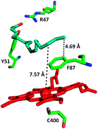 Graphical abstract: Analysis of the oxidation of short chain alkynes by flavocytochrome P450 BM3