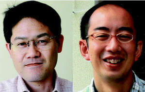 Graphical abstract: Molecular and genetic features of zinc transporters in physiology and pathogenesis