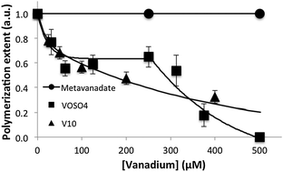 Graphical abstract: Recent advances into vanadyl, vanadate and decavanadate interactions with actin