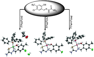 Graphical abstract: Synthesis, X-ray crystal structure, DNA binding, antioxidant and cytotoxicity studies of Ni(ii) and Pd(ii) thiosemicarbazone complexes