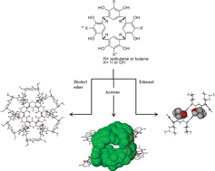 Graphical abstract: Solvent mediated self-assembly of organic nanostructures