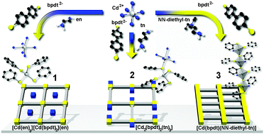 Graphical abstract: Thermodynamically controlled coordination-engineering of novel 2D cadmium thiolate coordination polymers