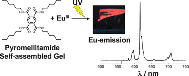 Graphical abstract: The structure and luminescence properties of europium(iii) triflate doped self-assembled pyromellitamide gels