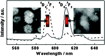 Graphical abstract: Constructing hierarchical architectures of Eu3+-doped Mg3B2O6 for tunable luminescent properties