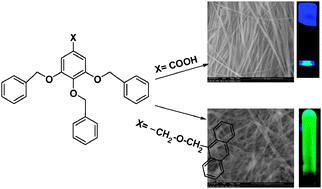 Graphical abstract: Luminescent micro and nanogel formation from AB3 type poly(aryl ether) dendron derivatives without conventional multi-interactive gelation motifs