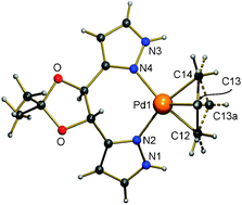 Graphical abstract: Synthesis, characterization and co-ordination chemistry of dioxolanedipyrazoles