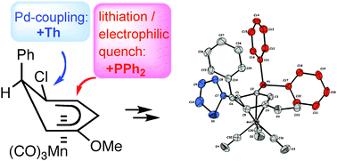 Graphical abstract: Phosphino-substituted (η5-cyclohexadienyl)tricarbonylmanganese complexes: synthesis and structure