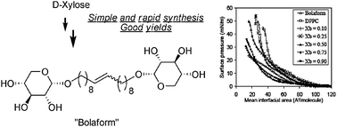 Graphical abstract: Synthesis and physico-chemical characterization of bolaamphiphiles derived from alkenyl d-xylosides