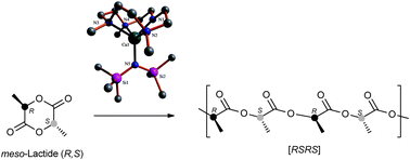 Graphical abstract: Alkaline earth metal amide complexes containing a cyclen-derived (NNNN) macrocyclic ligand: synthesis, structure, and ring-opening polymerization activity towards lactide monomers