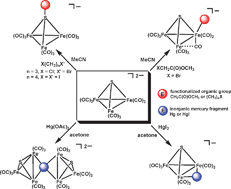 Graphical abstract: Reactions of the μ3-sulfido triiron cluster [SFe3(CO)9]2− with functionalized organic halides and mercury salts: selective reactivity, electrochemistry, and theoretical calculations