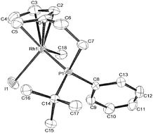 Graphical abstract: New cyclopentadienylethylphosphane chelate complexes with unsymmetrical phosphane substitution