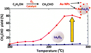 Graphical abstract: Support effect in the gas phase oxidation of ethanol over nanoparticulate gold catalysts