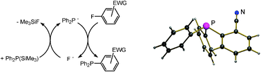 Graphical abstract: Fluoride catalyzed P–aryl-coupling—a mild approach to functionalized arylphosphines