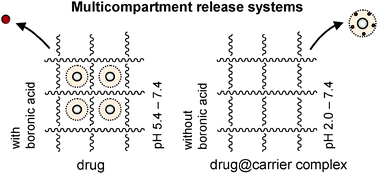 Graphical abstract: Tailoring uptake and release of ATP by dendritic glycopolymer/PNIPAAm hydrogel hybrids: first approaches towards multicompartment release systems