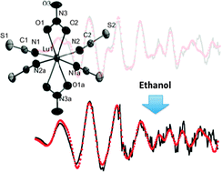 Graphical abstract: Crystal structure versus solution for two new lutetium thiocyanato complexes