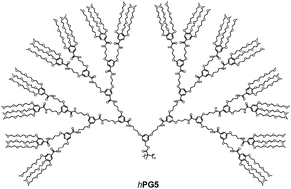 Graphical abstract: Non-charged, water soluble dendronized polymers