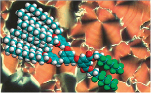 Graphical abstract: Self-assembly and liquid-crystalline supramolecular organizations of semifluorinated block co-dendritic supermolecules