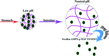 Graphical abstract: Synthesis and characterization of a novel pH-controllable composite hydrogel for anticancer drug delivery