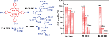 Graphical abstract: Water-soluble dendritic polyaspartic porphyrins: potential photosensitizers for photodynamic therapy