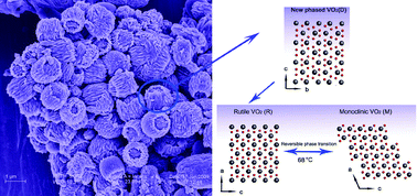 Graphical abstract: New-phase VO2 micro/nanostructures: investigation of phase transformation and magnetic property