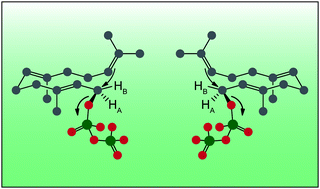 Graphical abstract: Isoprenoids in three-dimensional space: the stereochemistry of terpene biosynthesis