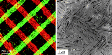 Graphical abstract: Polymer nanocomposites with controllable distribution and arrangement of inorganic nanocomponents