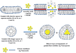 Graphical abstract: Role of spacer lengths of gemini surfactants in the synthesis of silver nanorods in micellar media