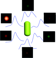 Graphical abstract: Dark-field microscopy studies of polarization-dependent plasmonic resonance of single gold nanorods: rainbow nanoparticles