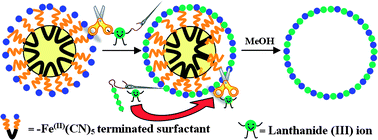 Graphical abstract: Dual lanthanide role in the designed synthesis of hollow metal coordination (Prussian Blue analogue) nanocages with large internal cavity and mesoporous cage