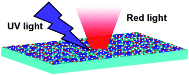 Graphical abstract: Surface plasmon enhanced energy transfer in metal–semiconductor hybrid nanostructures