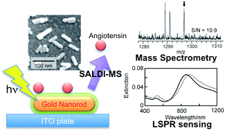 Graphical abstract: Sensing of oligopeptides using localized surface plasmon resonances combined with Surface-Assisted Laser Desorption/Ionization Time-of-Flight Mass Spectrometry