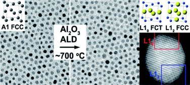 Graphical abstract: Sinter-free phase conversion and scanning transmission electron microscopy of FePt nanoparticle monolayers