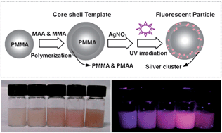 Graphical abstract: Synthesis of highly stable fluorescent Ag nanocluster @ polymer nanoparticles in aqueous solution