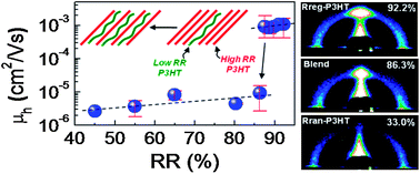 Graphical abstract: Nanomorphology-driven two-stage hole mobility in blend films of regioregular and regiorandom polythiophenes