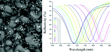 Graphical abstract: Iron oxide magnetic nanoparticles used as probing agents to study the nanostructure of mixed self-assembled monolayers