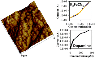 Graphical abstract: Ultra-sensitive and wide-dynamic-range sensors based on dense arrays of carbon nanotube tips