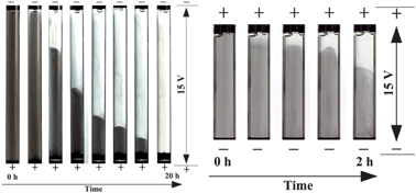 Graphical abstract: Charging of unfunctionalized graphene in organic solvents