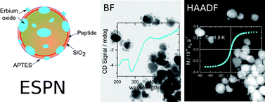 Graphical abstract: Biomimetic synthesis of chiral erbium-doped silver/peptide/silica core-shell nanoparticles (ESPN)
