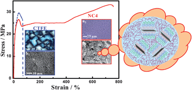 Graphical abstract: Nanoparticle induced piezoelectric, super toughened, radiation resistant, multi-functional nanohybrids