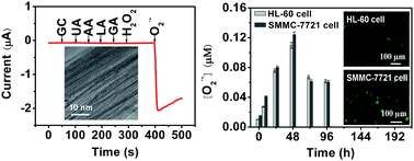 Graphical abstract: In vitro detection of superoxide anions released from cancer cells based on potassium-doped carbon nanotubes–ionic liquid composite gels