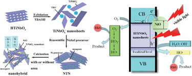 Graphical abstract: Novel mesoporous NiO/HTiNbO5 nanohybrids with high visible-light photocatalytic activity and good biocompatibility