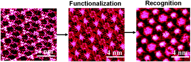 Graphical abstract: Functionalization of two-component molecular networks: recognition of Fe3+