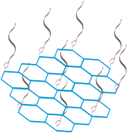 Graphical abstract: Polyvalent DNA–graphene nanosheets “click” conjugates