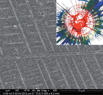 Graphical abstract: Low temperature, template-free route to nickel thin films and nanowires